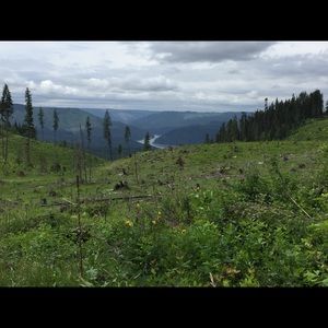 Meet your Posher, Dianna